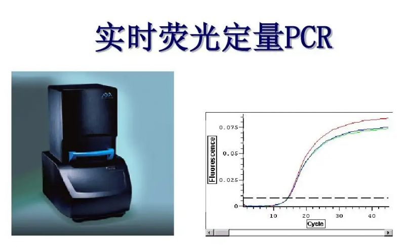 原料藥中DNA殘留測(cè)定